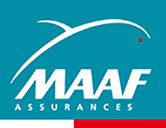 Logo 13
