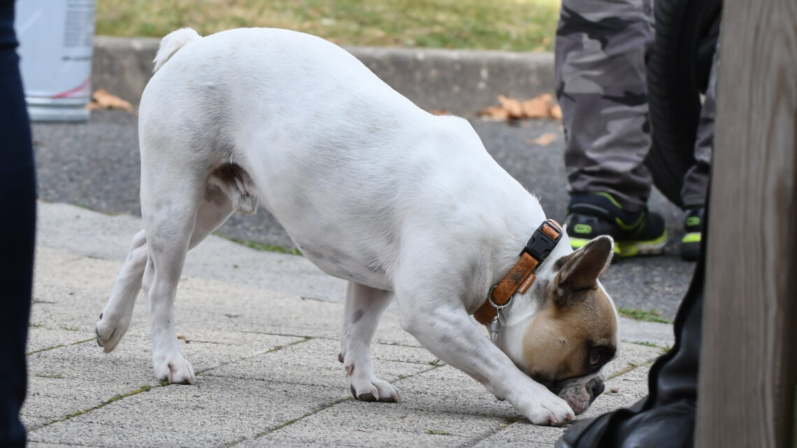 246405008_273898874740563_922033438392047300_n